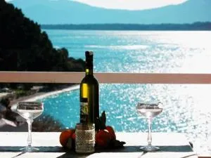 Borovik Guest House - Igrane