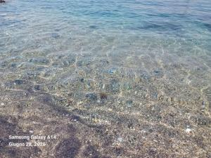 Grazioso monolocale Isola dElba