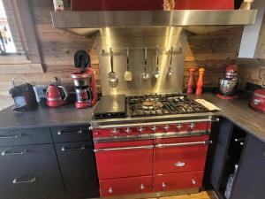 Chalet de luxe aux Gets avec jacuzzi et animaux admis, proche pistes - FR-1-598-89