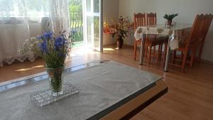 Zielony Azyl large 2 bedroom apartment with balcony and free parking