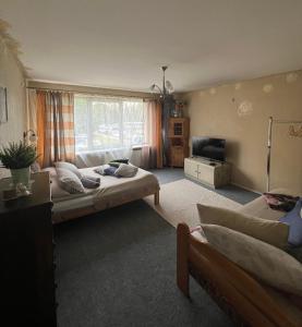 Cute apartment close to the beach