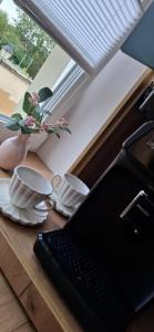 Apartament Palmiarnia