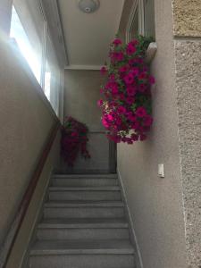 Goldenberg House -