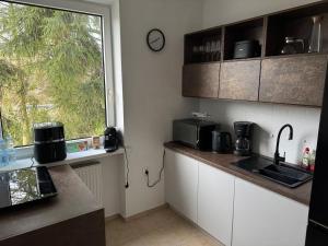 Goldenberg House -