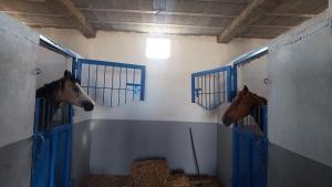 Le gite de la ferme Newwell