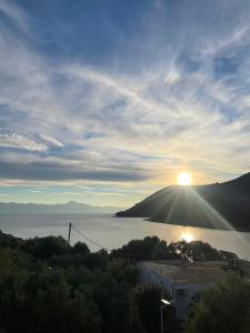Hvar-zarace INA