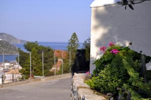 Treehouse Holiday Homes Argolida Greece