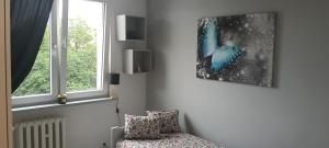 Apartament w centrum