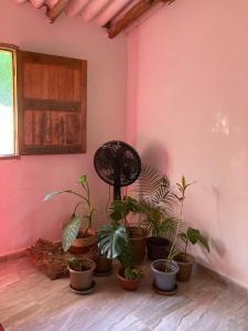 Casa Cascada donde la paz cae como agua