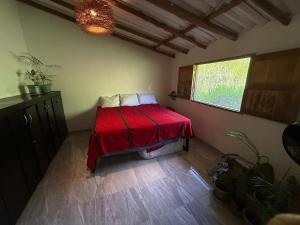 Casa Cascada donde la paz cae como agua
