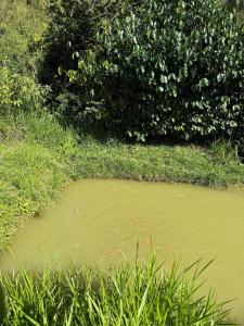 Casa Cascada donde la paz cae como agua