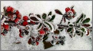 Kaláris Vendégház