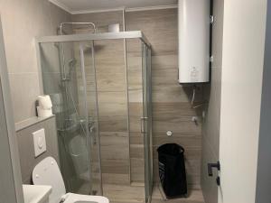 Ohrid City Apartment