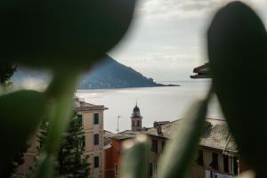 114 - sea view, 300 meters from the sea and the center