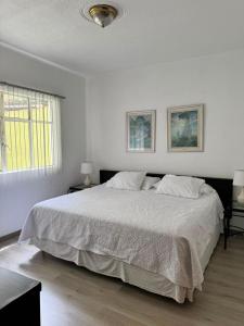 Steinhaus Suites Emilio Castelar