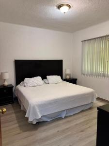 Steinhaus Suites Emilio Castelar