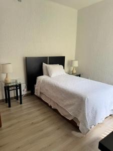 Steinhaus Suites Emilio Castelar