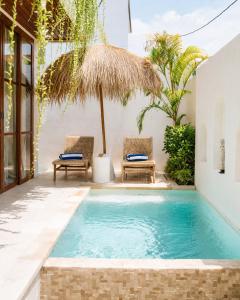 Coco 1BR Private Pool Villa in Pererenan with Skylight Bathtub