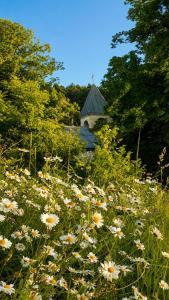 Bani Cottage Racha
