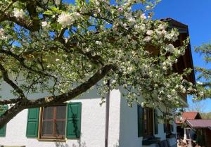Ferienwohnung Goas-Alm