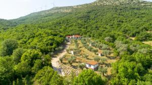 Olive Grove Serenity Retreat 2, Bungalow