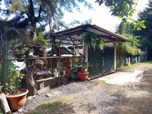 Granja Triple A