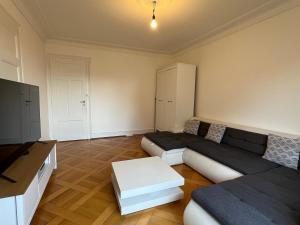 Bright Geneva City Apartment with Classic Charm