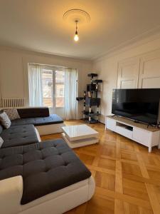 Bright Geneva City Apartment with Classic Charm