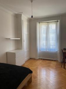Bright Geneva City Apartment with Classic Charm