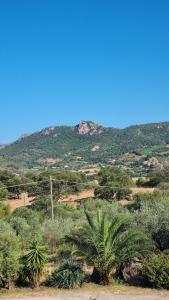 Casa Manchia