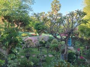Nyoman Guest House 1