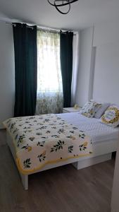 Lemoncello Studio Central