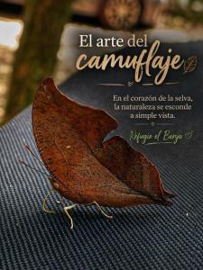 El Benja Centro