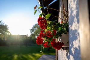 Entire Villa for 6 near Bled -Private Garden, Grill & Free Parking