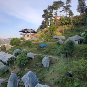 Dilip Home stay