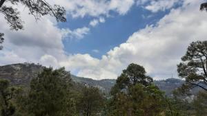 Dilip Home stay