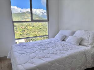 Posada del Quindío 0219