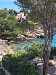 Apartamento La Caleta