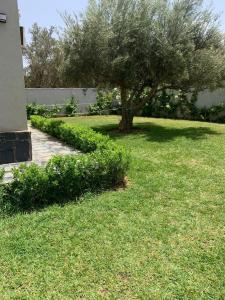 Villa amkhlije
