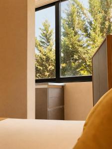 Golden Pine Retreat - Beachfront Apartment