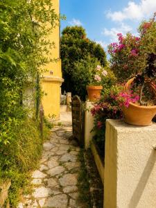 3-room apartment with garden near the sea
