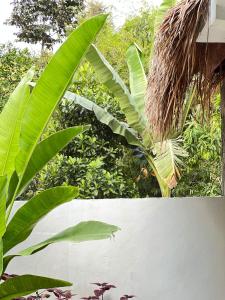 Hibiscus house Kuta Lombok 1 bed room & kitchen