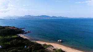 Beachfront, New & Modern Apartment, Murta Maria