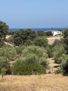 Seabreeze House