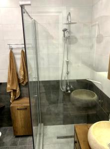 Apartament Kozioł