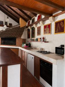 Villa Toma Zagvozd - 2 apartments with a pool