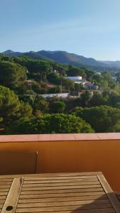 Relax entre pinos