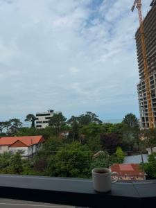 Apartment in Gonio