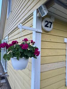 Summer Breeze House