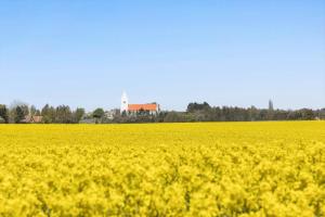 5020-Askeby-Faergensvaenge-18